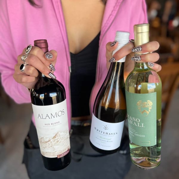 A person in a pink hoodie holds three bottles of wine: Alamos Red Blend, Whitehaven Sauvignon Blanc, and Maso Canali Pinot Grigio.